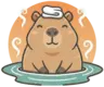 Onsen Sensei Logo